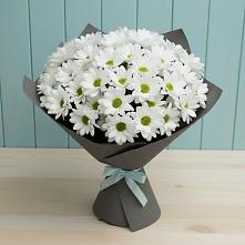 Букет цветов из:  Хризантемы #REPLACE_PRED# Березник