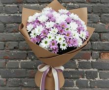 Букет цветов из:  Хризантемы #REPLACE_PRED# Березник